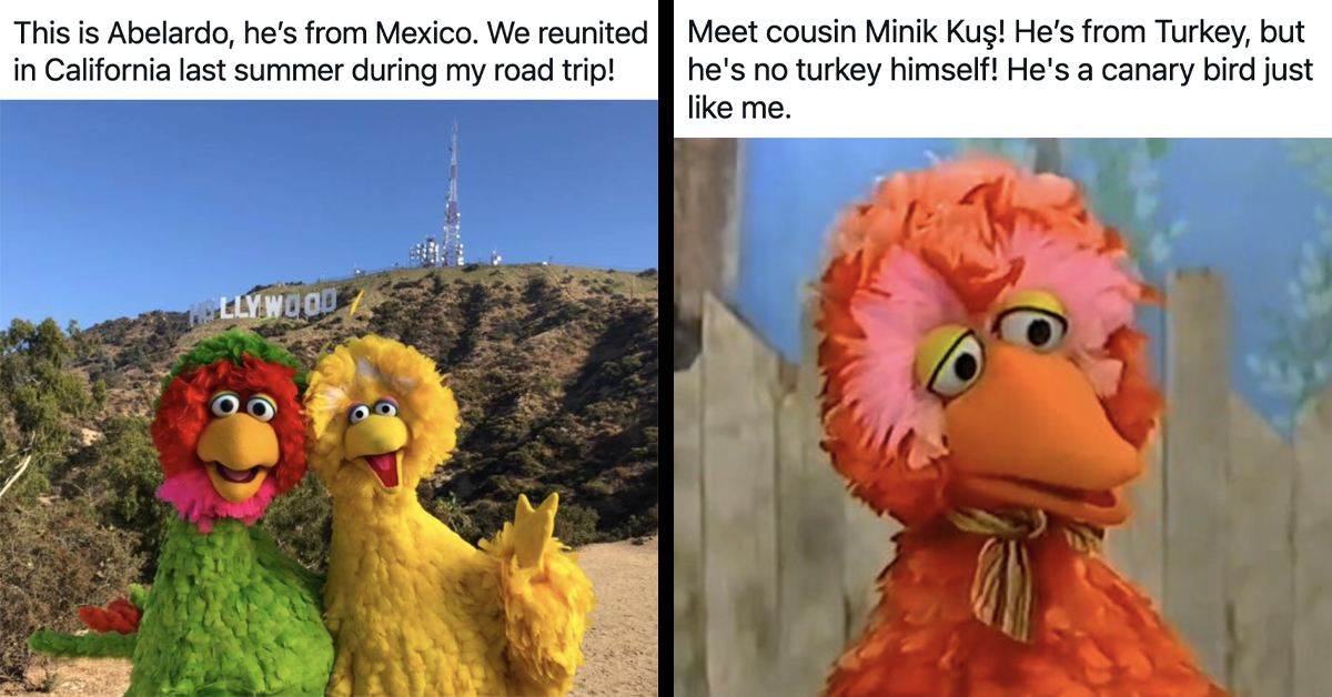 Big Bird Around the World—Check Out How He Adapts to Each Country's Palette