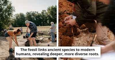 Fossil Discovery Pushes Back Human Origins By 400,000 Years