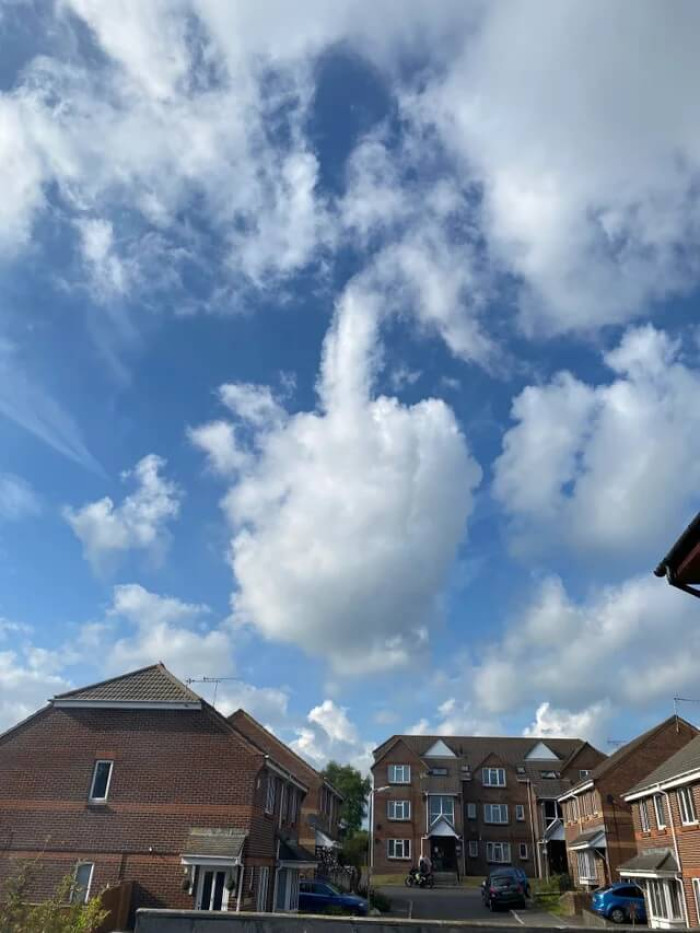 14. Not sure what I did to annoy Mother Nature, but…