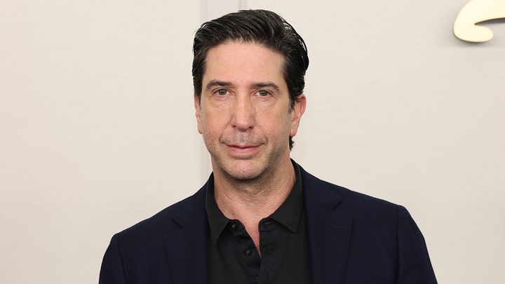 David Schwimmer believes he might have reached movie star status if he had accepted a role in 