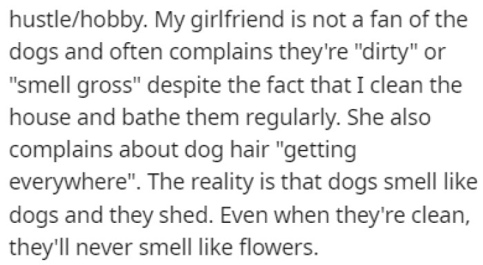 The girlfriend doesn't like the dogs because they smell