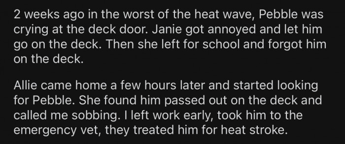 Pebble ended up getting a heat stroke because of Janie's neglect.