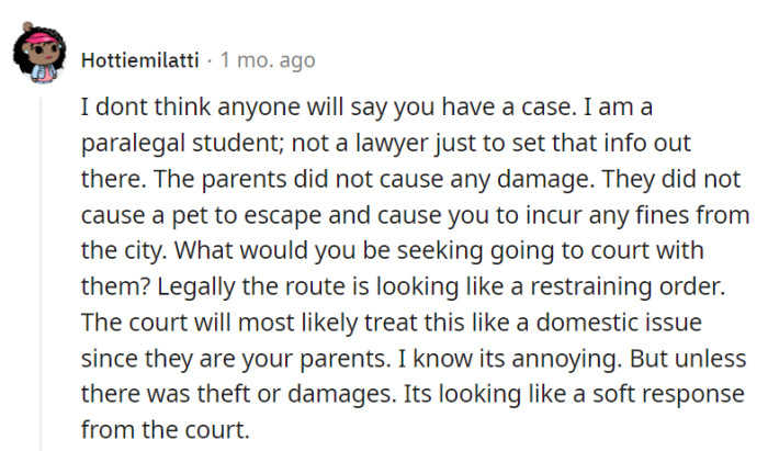 In the eyes of a paralegal student, without theft or pet escapades, going to court for family drama might feel like a sledgehammer for a peanut.