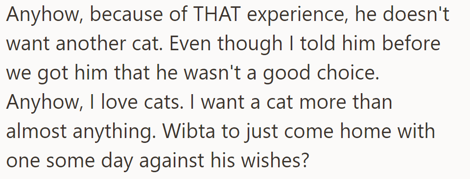 Husband against new cat after bad experience. OP still wants one despite his objection.