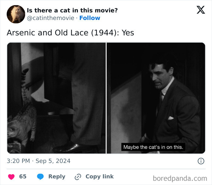 Arsenic and Old Lace