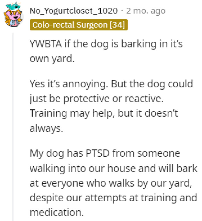 The dog might just be super protective