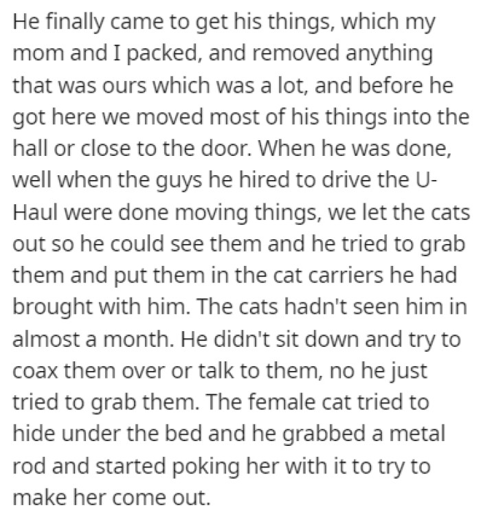 When the Roommate Finally Came to Get His Things, He Tried to Forcefully Take the Cats with Him