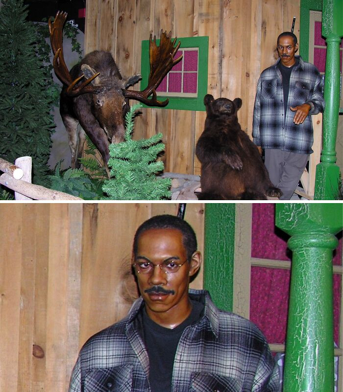 "Eddie Murphy And Animals, Ontario, Canada"