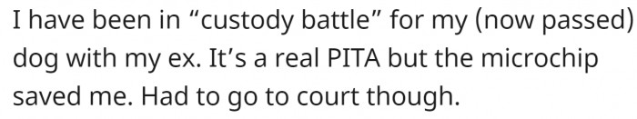 The microchip saved the day