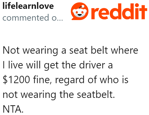 In some places, not buckling up would incur a hefty fine.