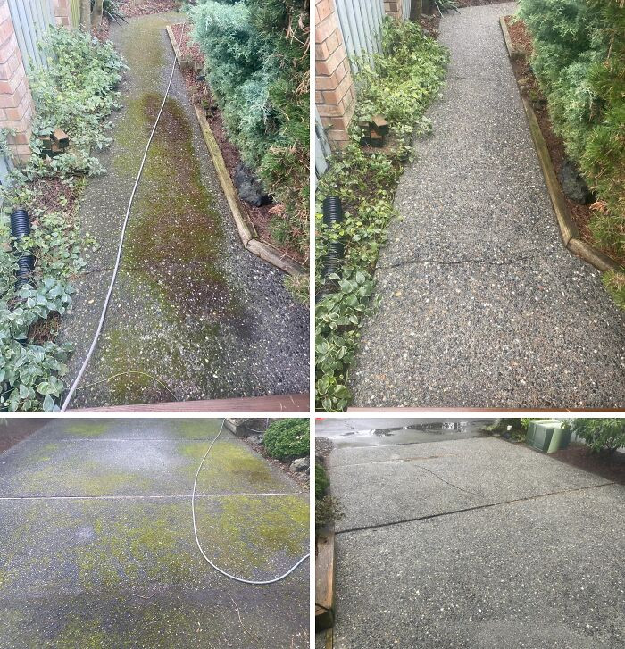 "Little Bit Of Moss… Before And After"