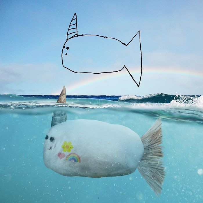 3. Meet the unicorn fish