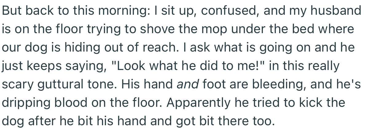 OP’s husband was bleeding and lamenting while trying to chase the dog from under the bed where it was hiding