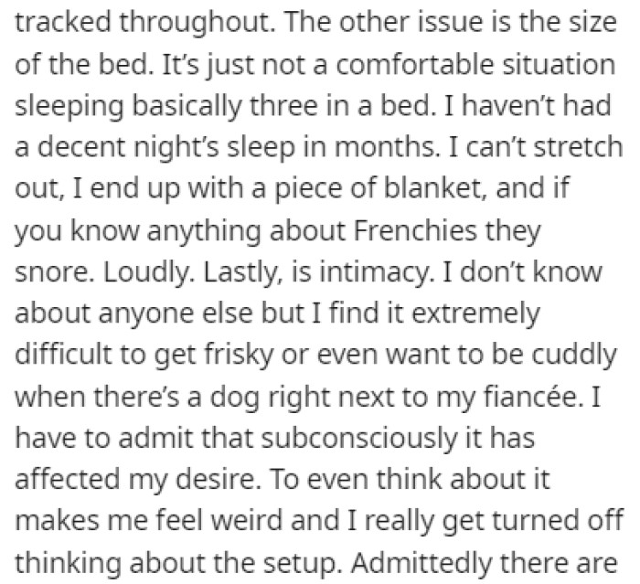 The dog is a huge issue for OP and she wants him out of the bed