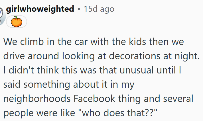 The family drives around at night to look at holiday decorations.