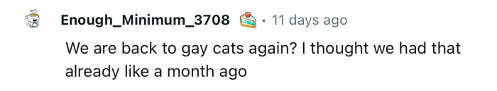 Seems this is not the first time someone is complaining about their cat being gay
