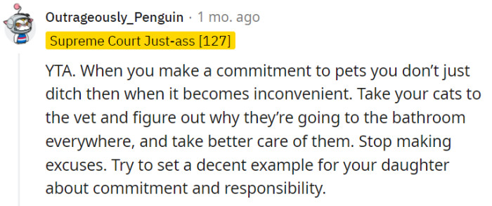 Making a commitment to pets means also being there through the messy litter box moments.