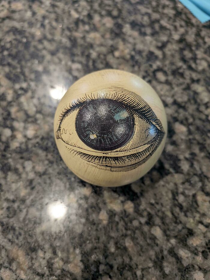 "My Wife Just Sent Me This Find"
