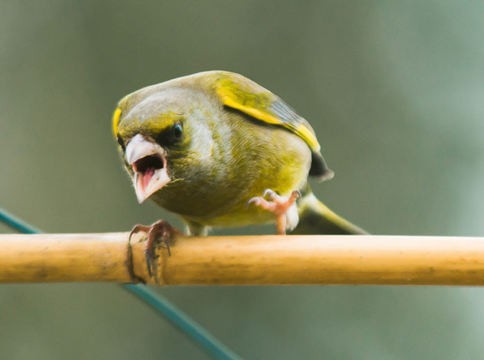 Leave the past in the past.