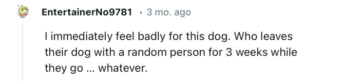 “Who leaves their dog with a random person for 3 weeks while they go?”