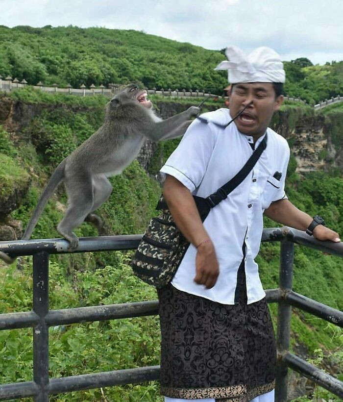 "Now Gimme That, You!"