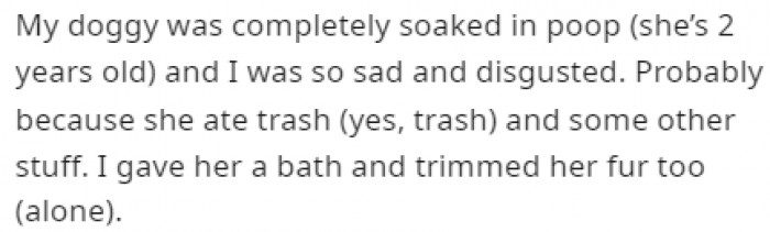 The dog was soaked in poop and had been eating trash