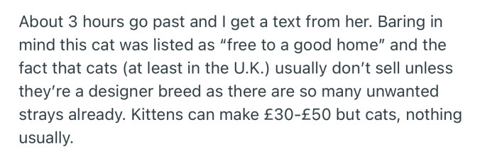 About 3 Hours Later, OP Got a Text from the Cat Owner