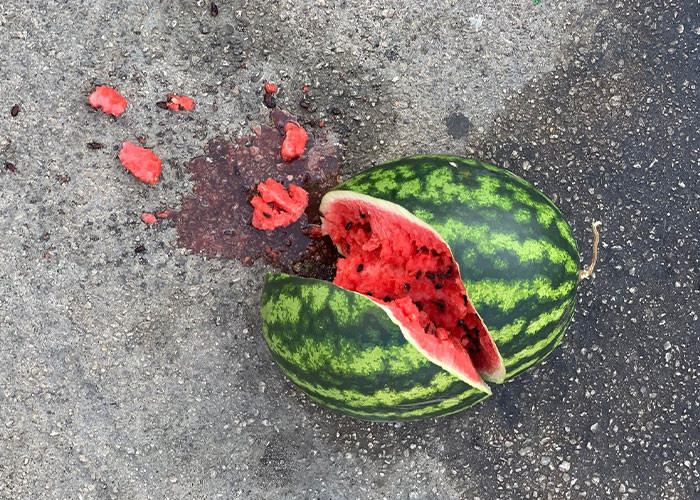 32. Someone threw a watermelon down the stairs at someone in my library.