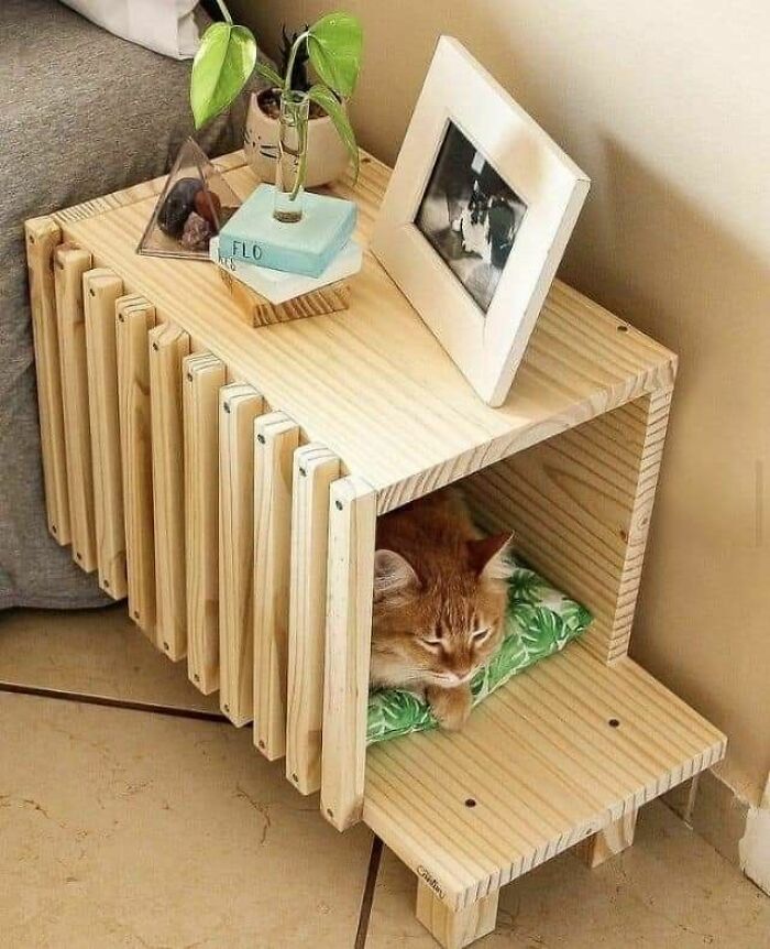So your cat can always be by your side