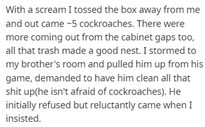 OP went to her brother's room to convince him to clean it up since he's not afraid of cockroaches