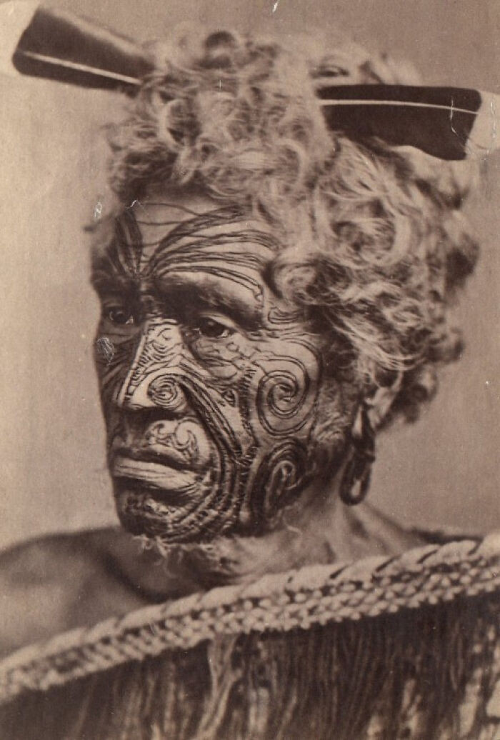 Maori Man With A Tattoed Face