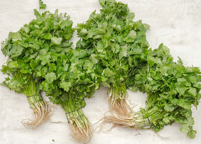 3. Cilantro—I have the gene.