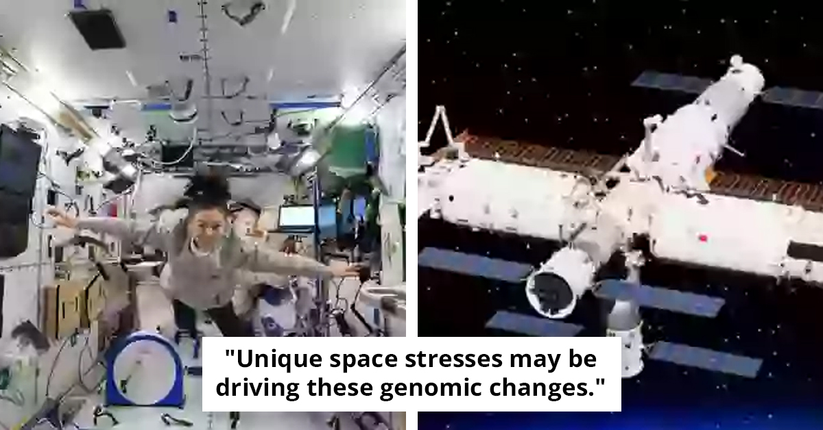 Mutated Bacteria On Space Station Develop Unseen Abilities Never Before Found On Earth