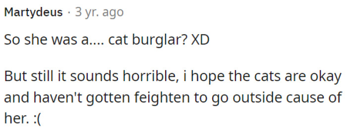 A Cat Burglar