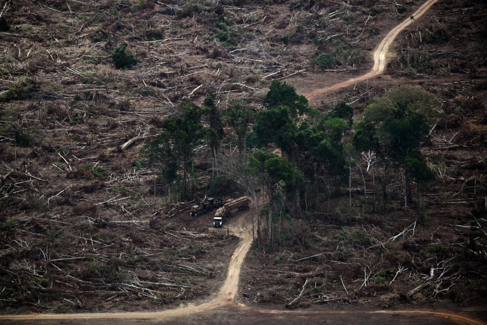 Indigenous Mashco Piro people in Amazon forest, daily life scene.