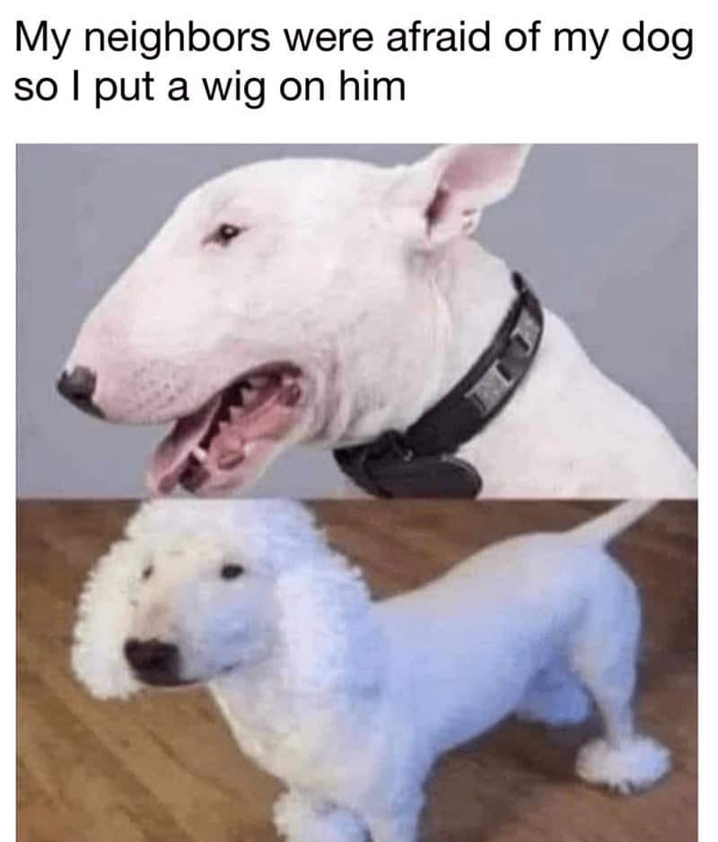 21. From fierce to fabulous.