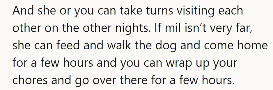 They can take turns visiting: MIL walks the dog, they both spend time together.