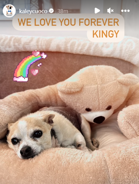 11. Forever in our hearts