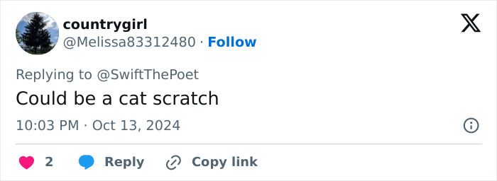 8. The mystery thickens!