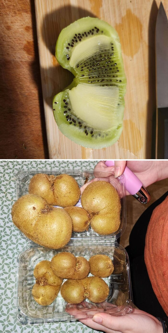 "My Kiwis Are Weird"
