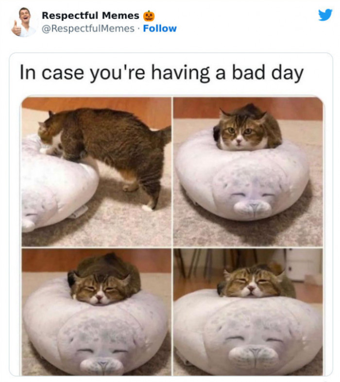 43. Becoming One with the Seal