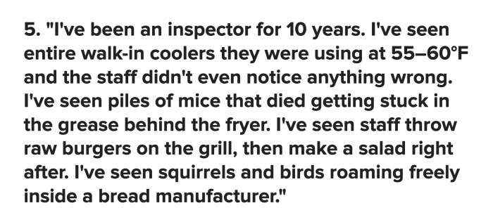 Were the squirrels and birds employees at this fantastical bread factory? Did you see any Disney princesses walking about?
