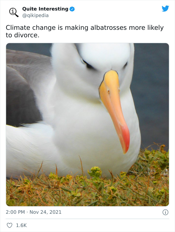 31. Way to go, climate change