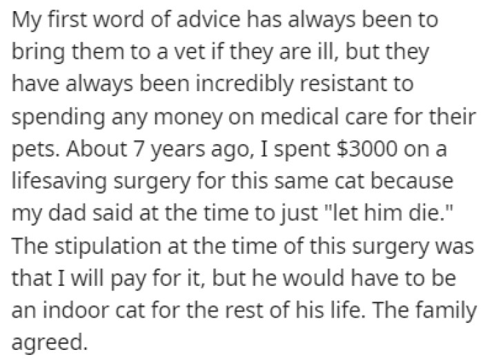 OP spent $3000 on lifesaving surgery for this cat, and she told them that the cat would have to be an indoor cat for the rest of her life