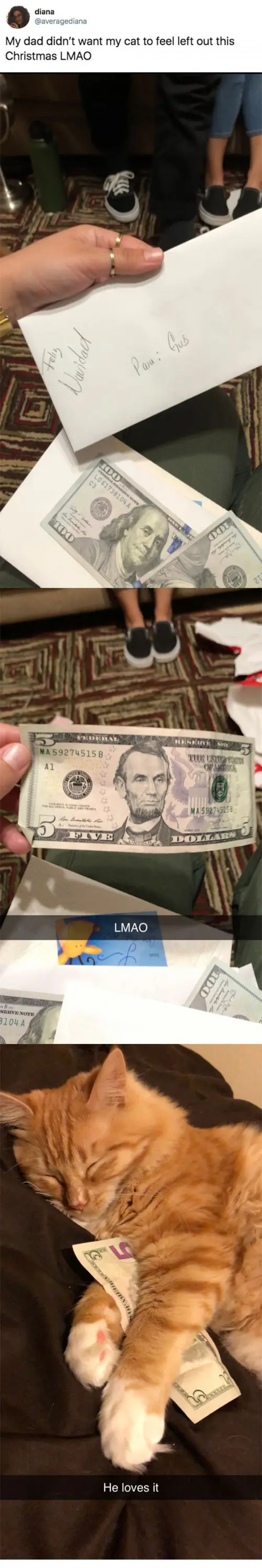 1. The cuteness of cats can melt a cold heart.