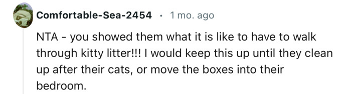 “NTA - You Showed Them What It Is Like to Have to Walk Through Kitty Litter!”