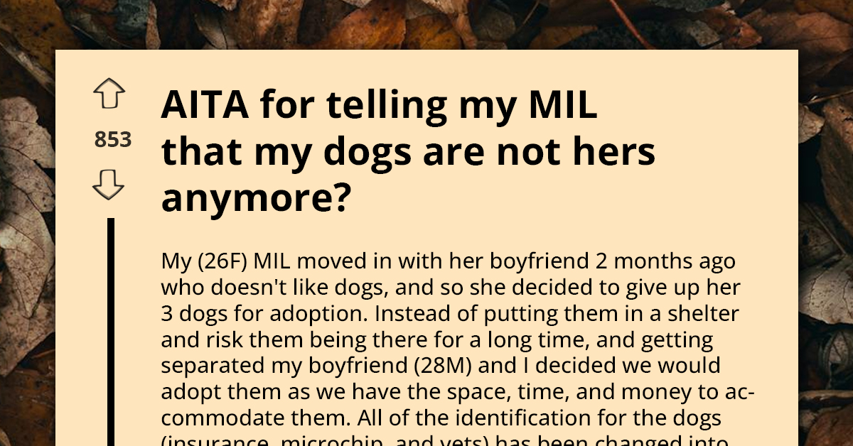Redditor Claims Ownership of Dogs Adopted from Mother-in-Law, Faces Backlash for Entitlement