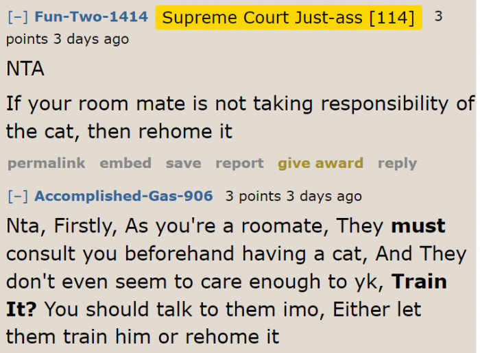 The OP and the roommates need to have a conversation about this cat.