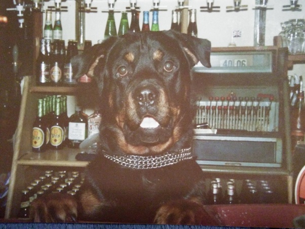 People shared personal stories, drawing from their experiences and insights.