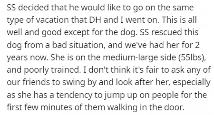 The stepson wanted to go on the same vacation as they did, but his dog presented a bump in the road